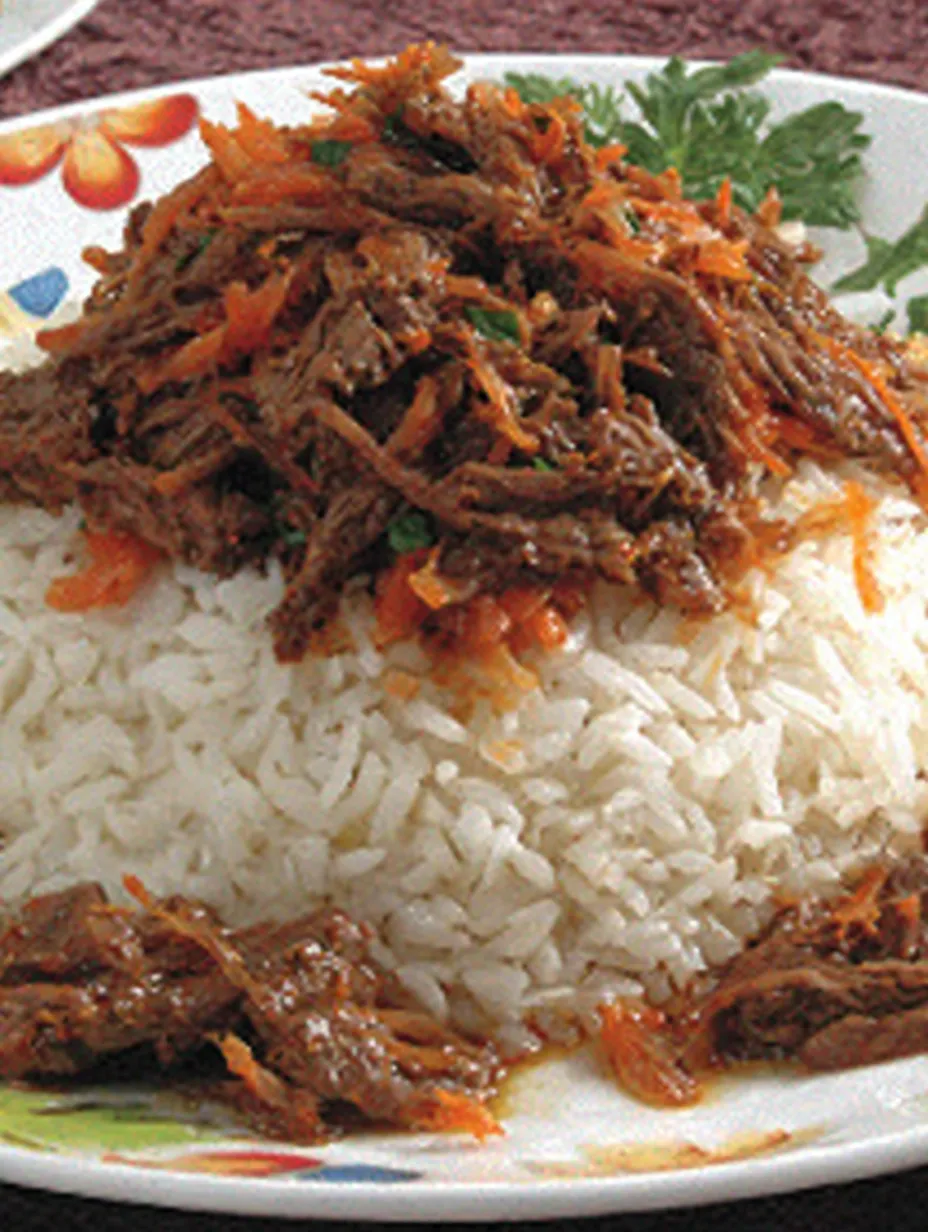 Ein Plate mit Rice und Beef.