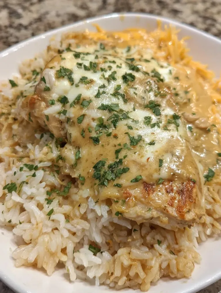 Ein Plate mit Rice und Chicken, garniert mit Parsley.