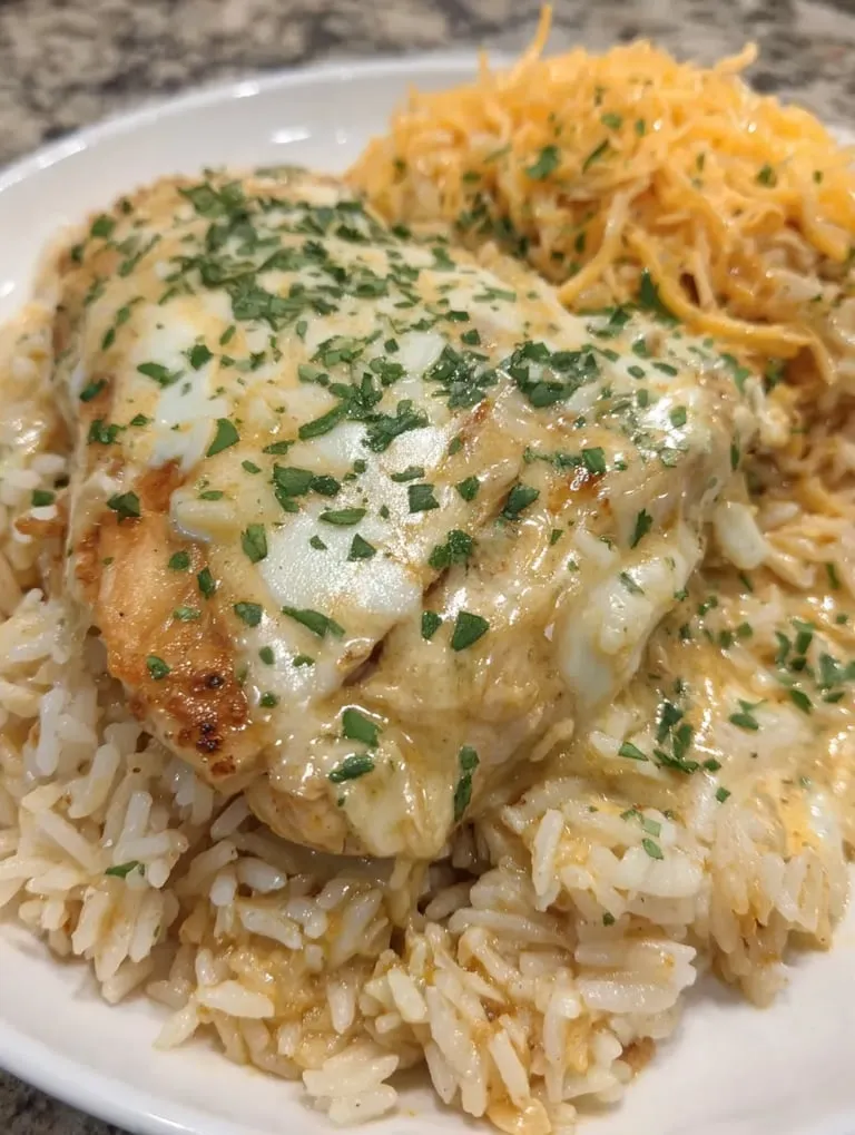 Ein Plate mit Rice und Chicken.