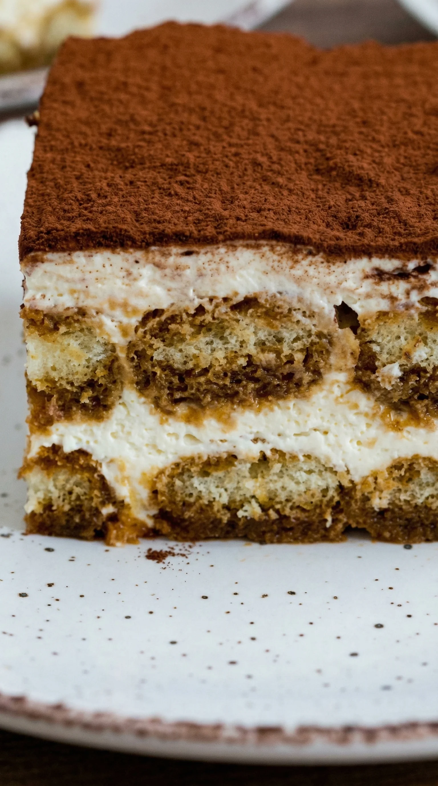 Ein Stück Tiramisu nach italienischer Art, das aus einer Mischung aus Käse, Zucker, Eiern und Vanille hergestellt wurde. Es hat eine dunkle, moosige Oberfläche und eine feste, knusprige Struktur.
