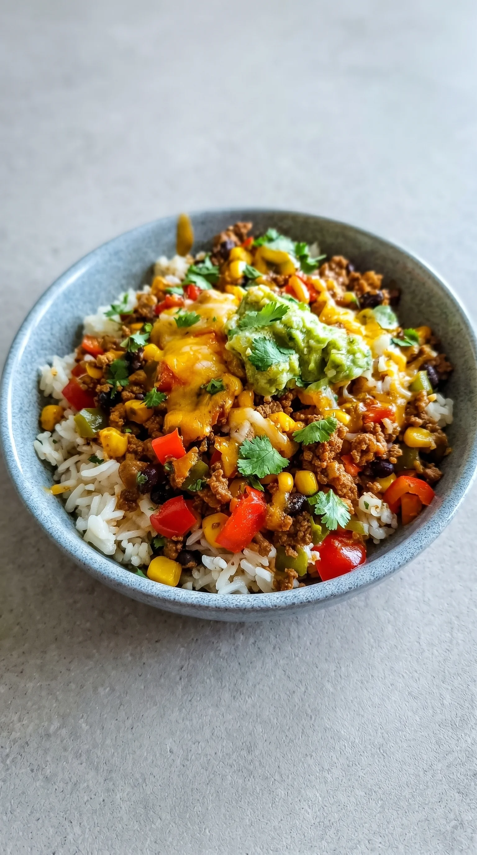 A bowl of rice and meat.